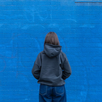 Fencesitter Hoodie - Vintage Black + Electric Blue